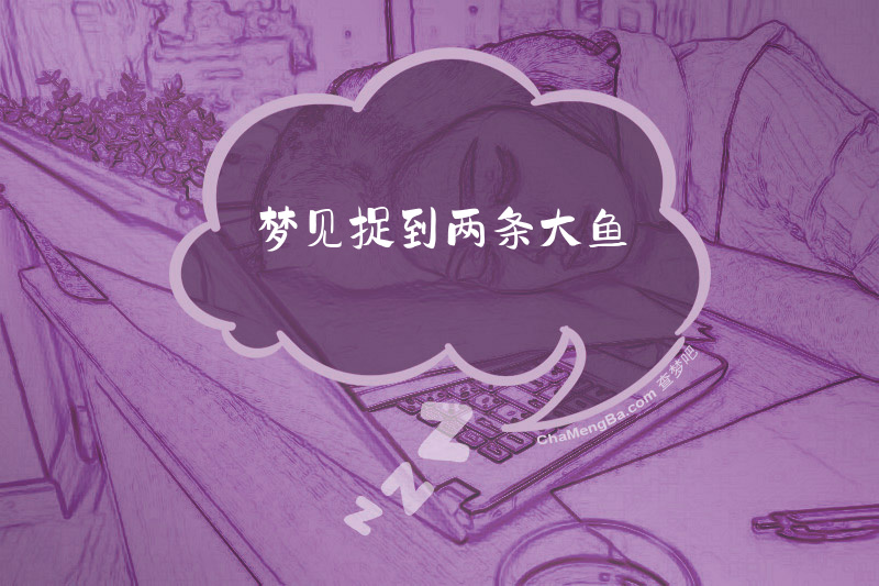 梦见捉到两条大鱼