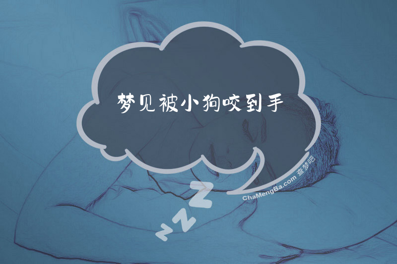 梦见被小狗咬到手