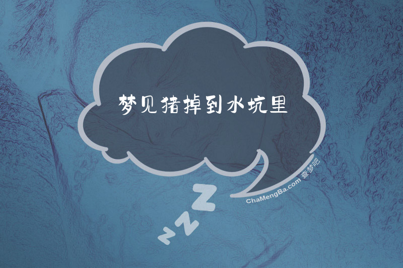 梦见猪掉到水坑里