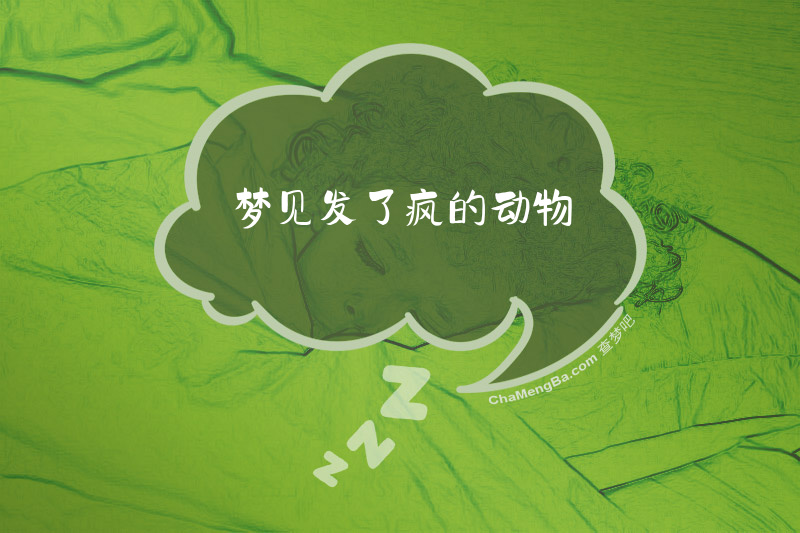 梦见发了疯的动物