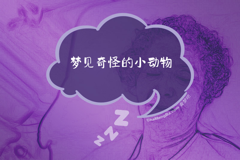 梦见奇怪的小动物
