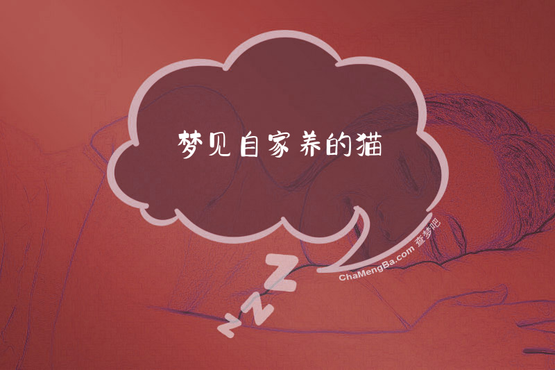 梦见自家养的猫