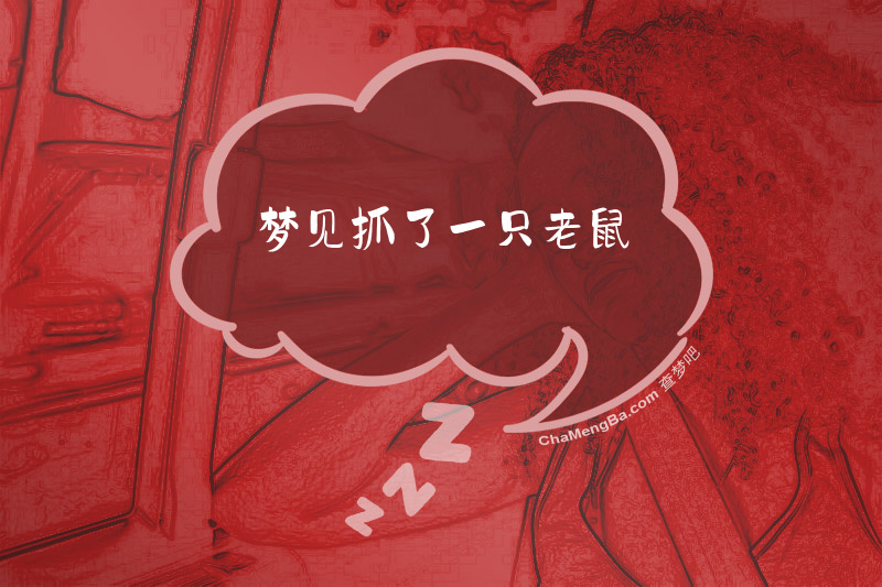 梦见抓了一只老鼠
