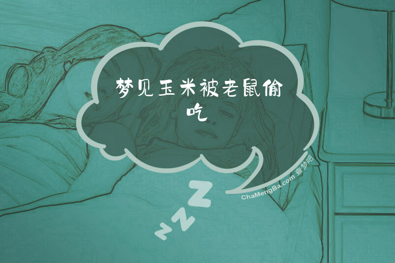 梦见玉米被老鼠偷吃