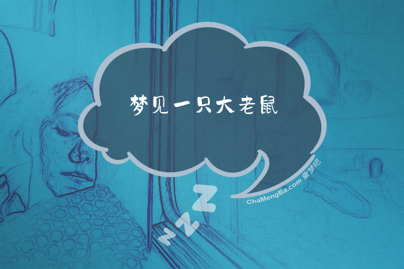 梦见一只大老鼠