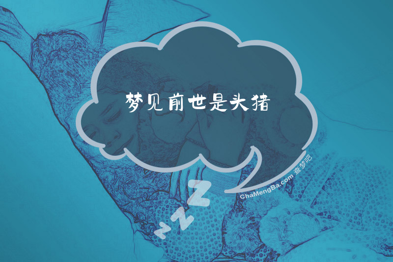 梦见前世是头猪