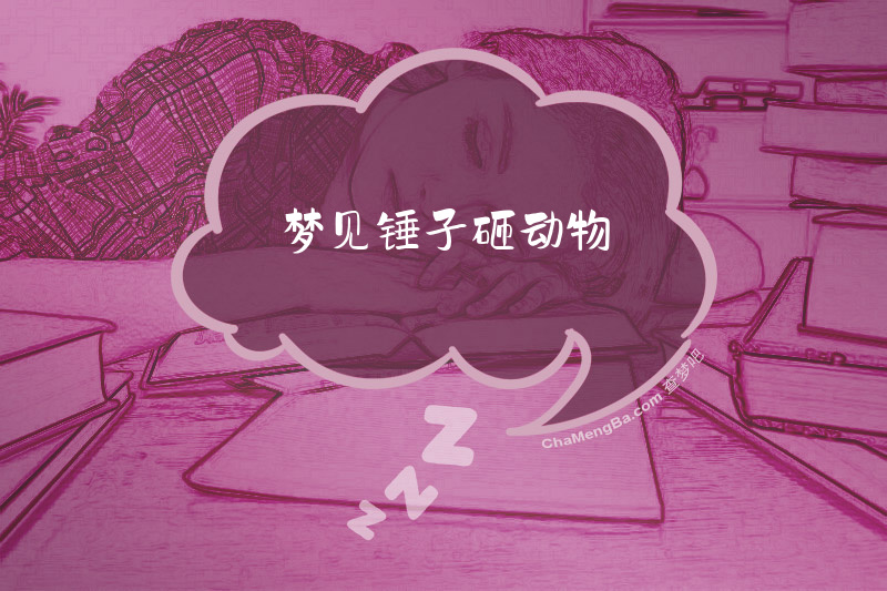 梦见锤子砸动物