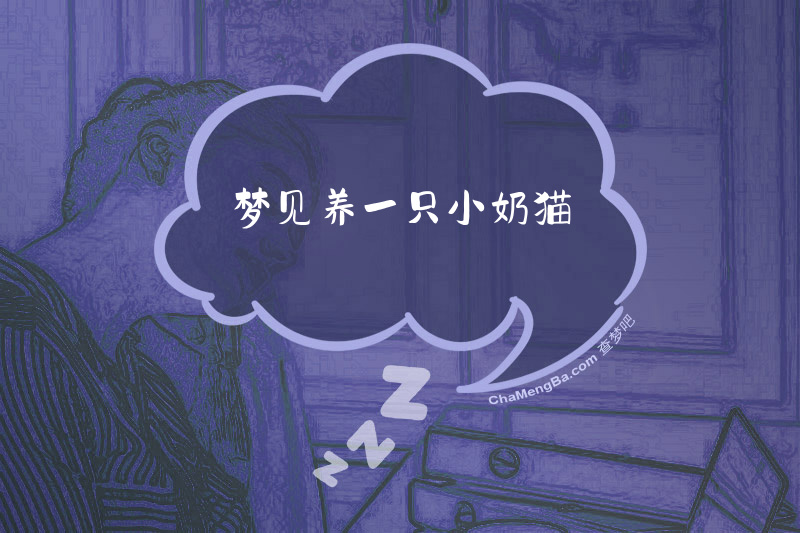 梦见养一只小奶猫