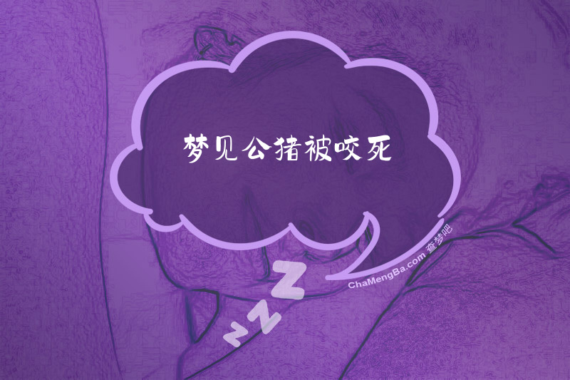 梦见公猪被咬死