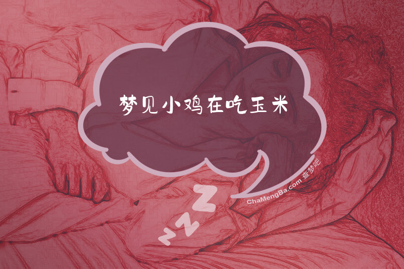 梦见小鸡在吃玉米