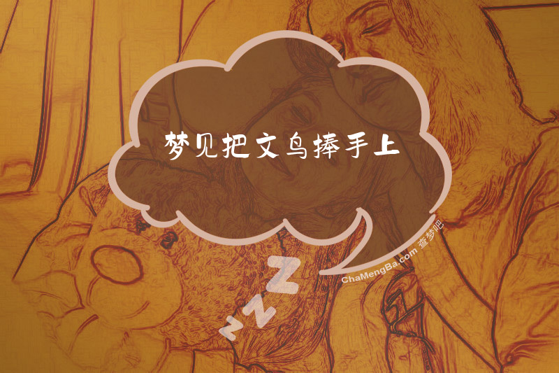 梦见把文鸟捧手上