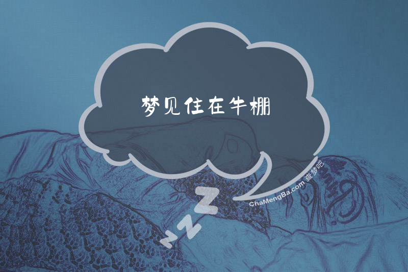 梦见住在牛棚