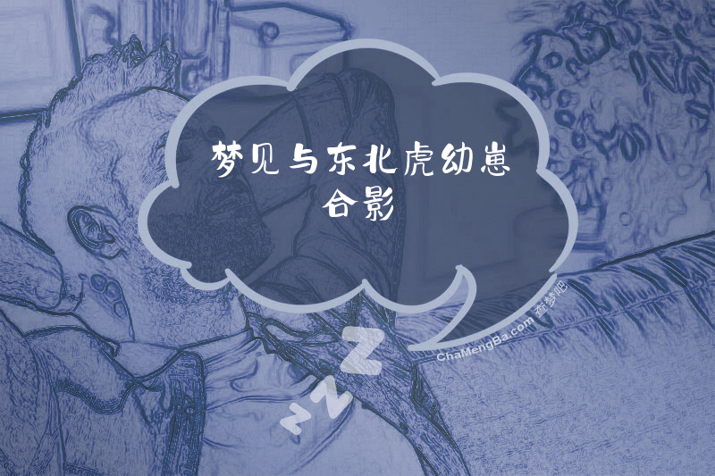 梦见与东北虎幼崽合影