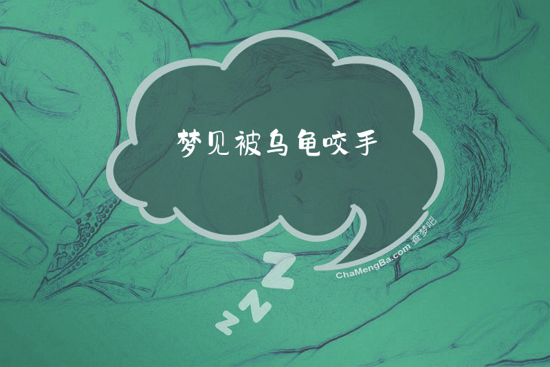 梦见被乌龟咬手