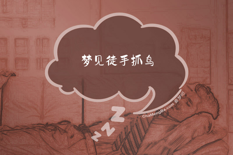 梦见徒手抓鸟
