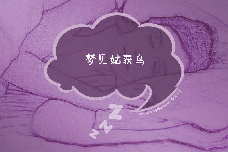 梦见姑获鸟