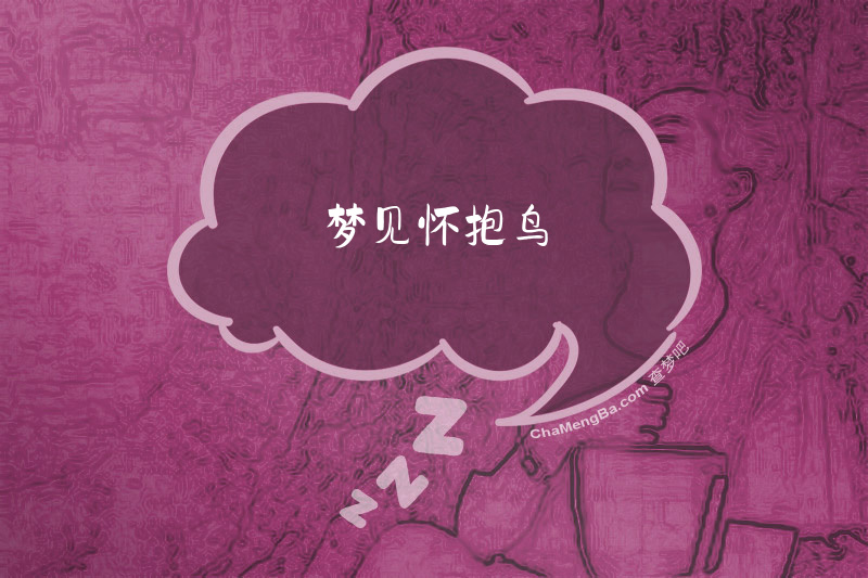 梦见怀抱鸟