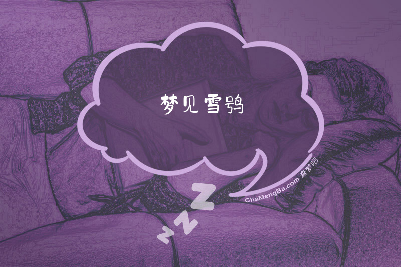 梦见雪鸮