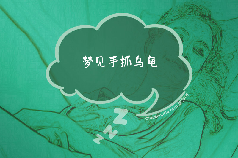 梦见手抓乌龟