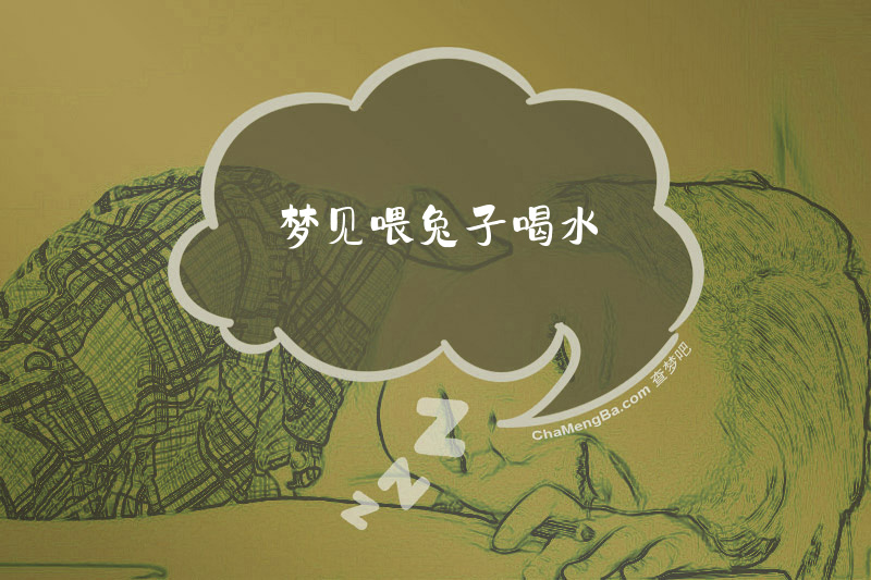 梦见喂兔子喝水