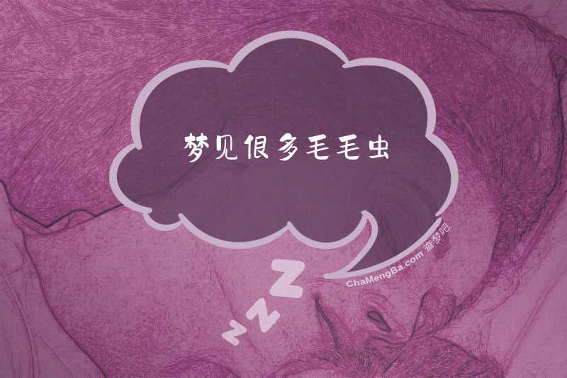 梦见很多毛毛虫