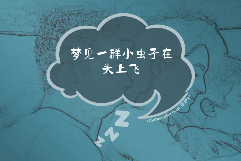 梦见一群小虫子在头上飞