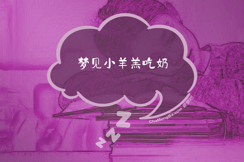 梦见小羊羔吃奶