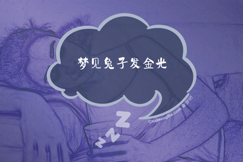 梦见兔子发金光