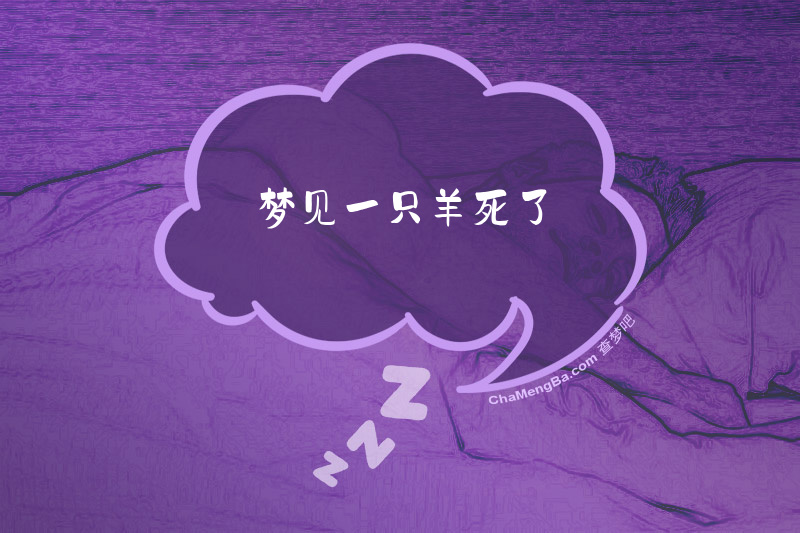 梦见一只羊死了