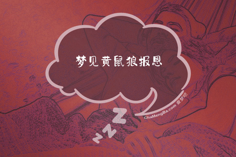 梦见黄鼠狼报恩