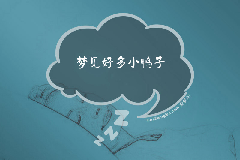 梦见好多小鸭子