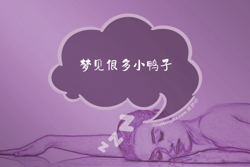 梦见很多小鸭子