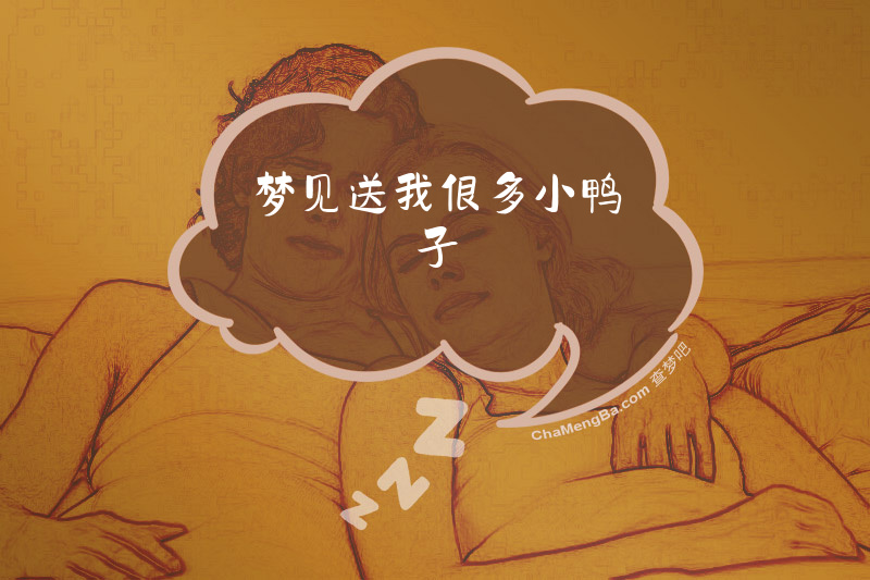 梦见送我很多小鸭子