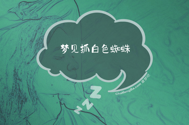 梦见抓白色蜘蛛