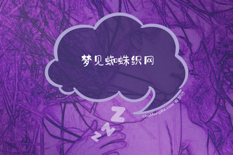 梦见蜘蛛织网
