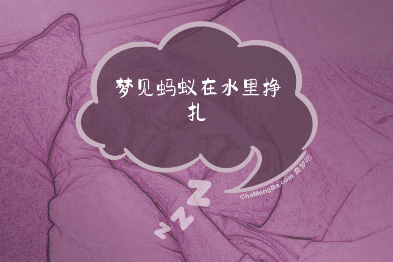 梦见蚂蚁在水里挣扎