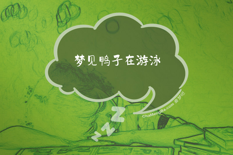 梦见鸭子在游泳