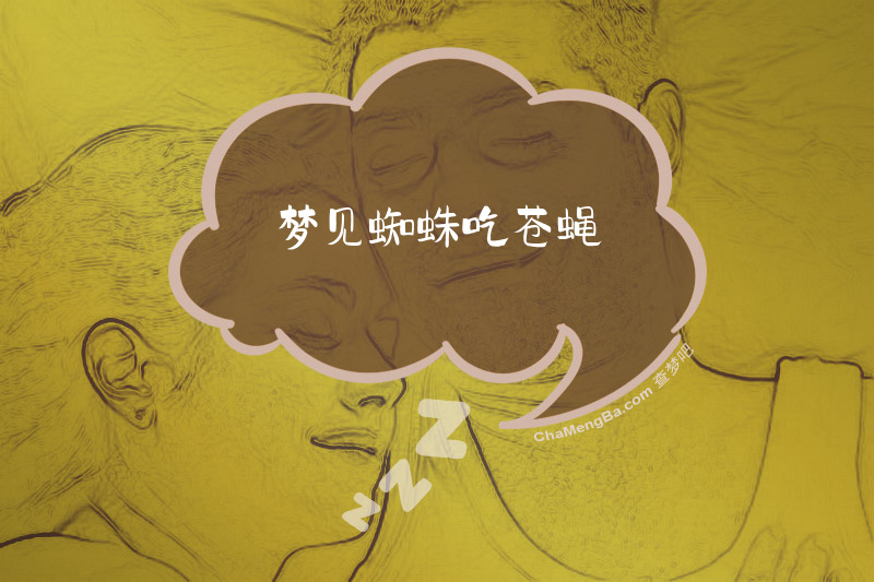 梦见蜘蛛吃苍蝇