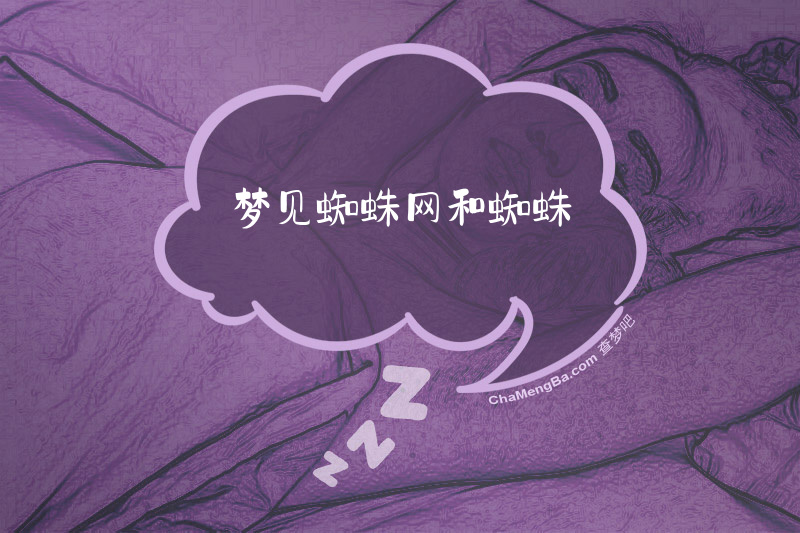 梦见蜘蛛网和蜘蛛