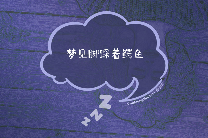 梦见脚踩着鳄鱼