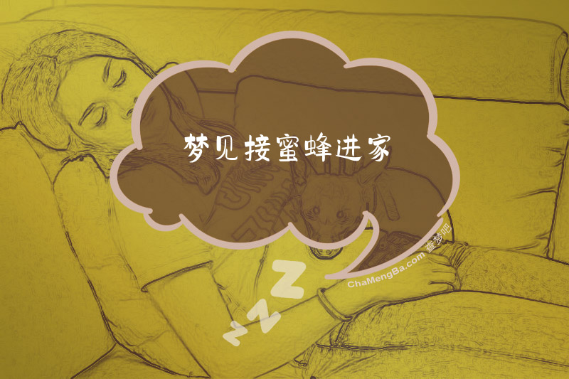 梦见接蜜蜂进家