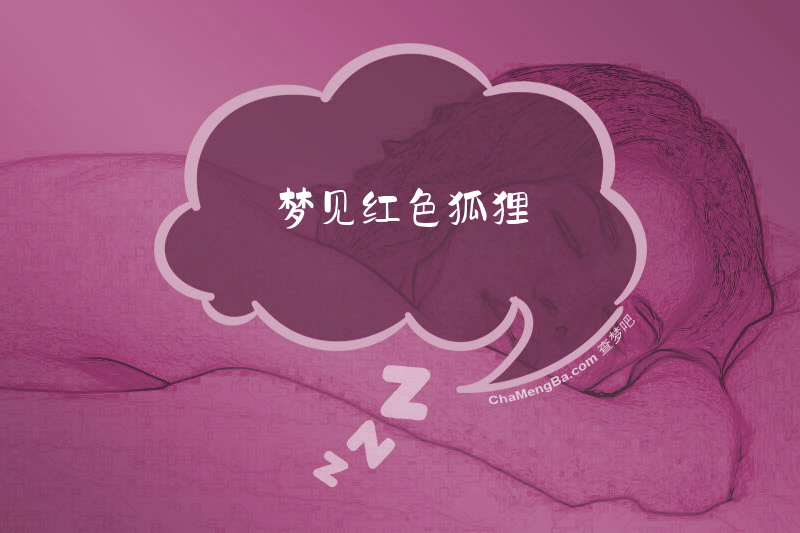 梦见红色狐狸
