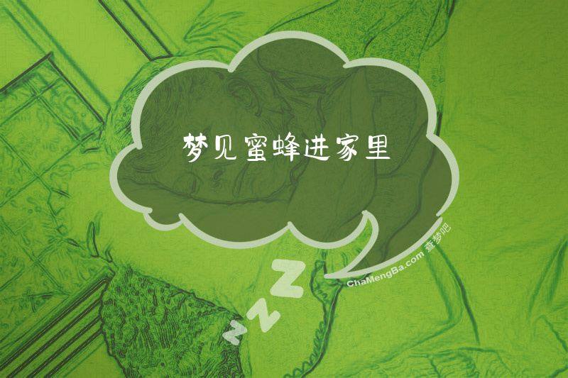 梦见蜜蜂进家里