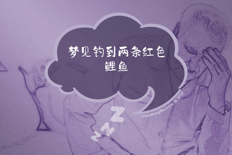 梦见钓到两条红色鲤鱼