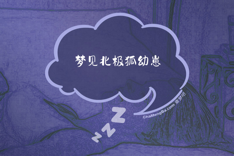 梦见北极狐幼崽