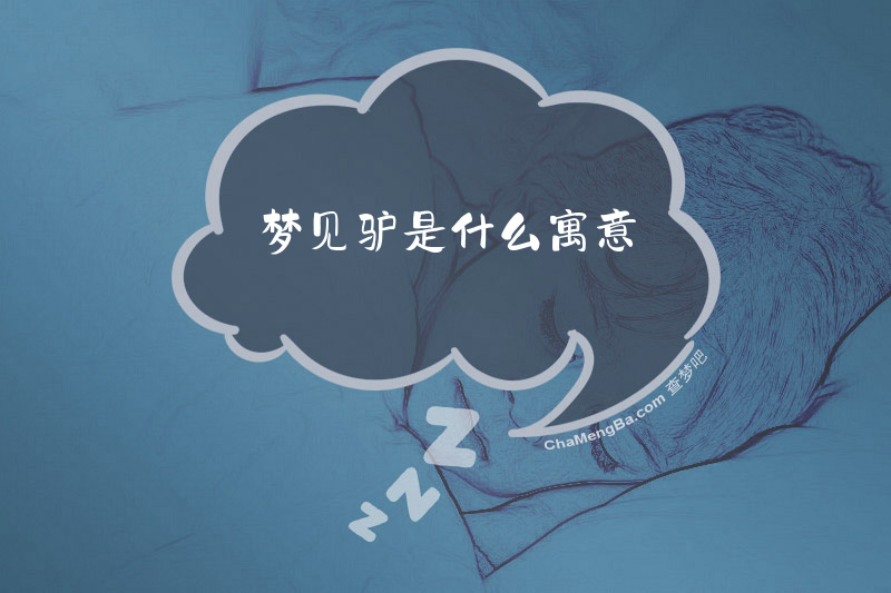 梦见驴是什么寓意
