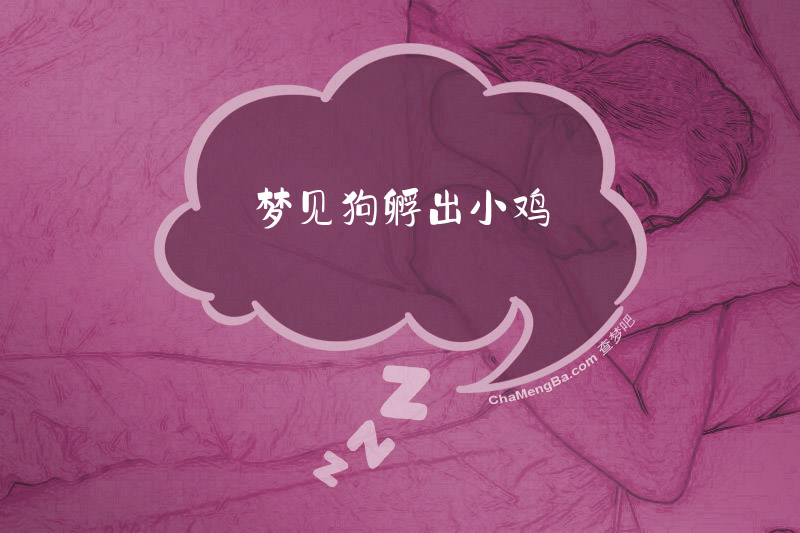 梦见狗孵出小鸡