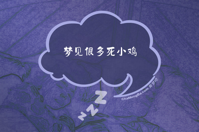 梦见很多死小鸡