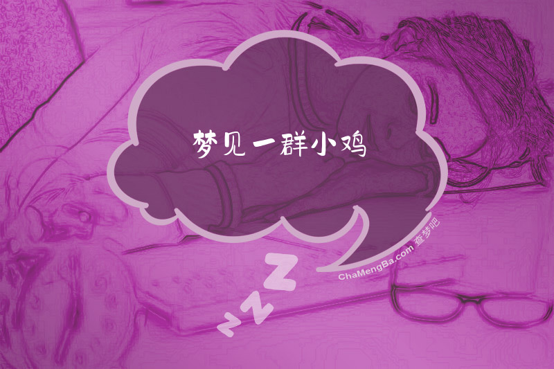 梦见一群小鸡