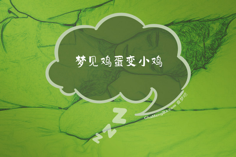 梦见鸡蛋变小鸡